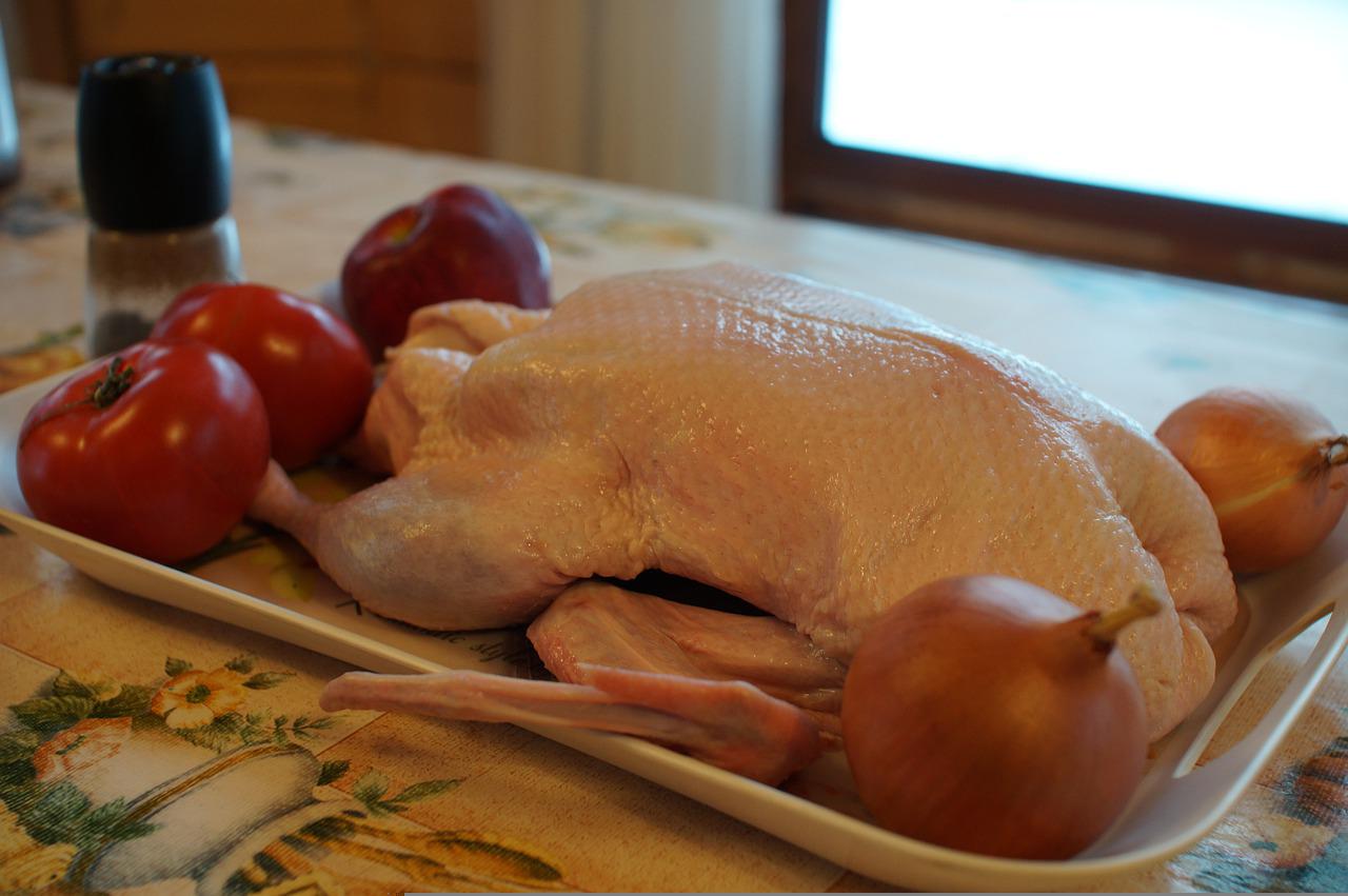 duck-g04cc3d24d_1280.jpg