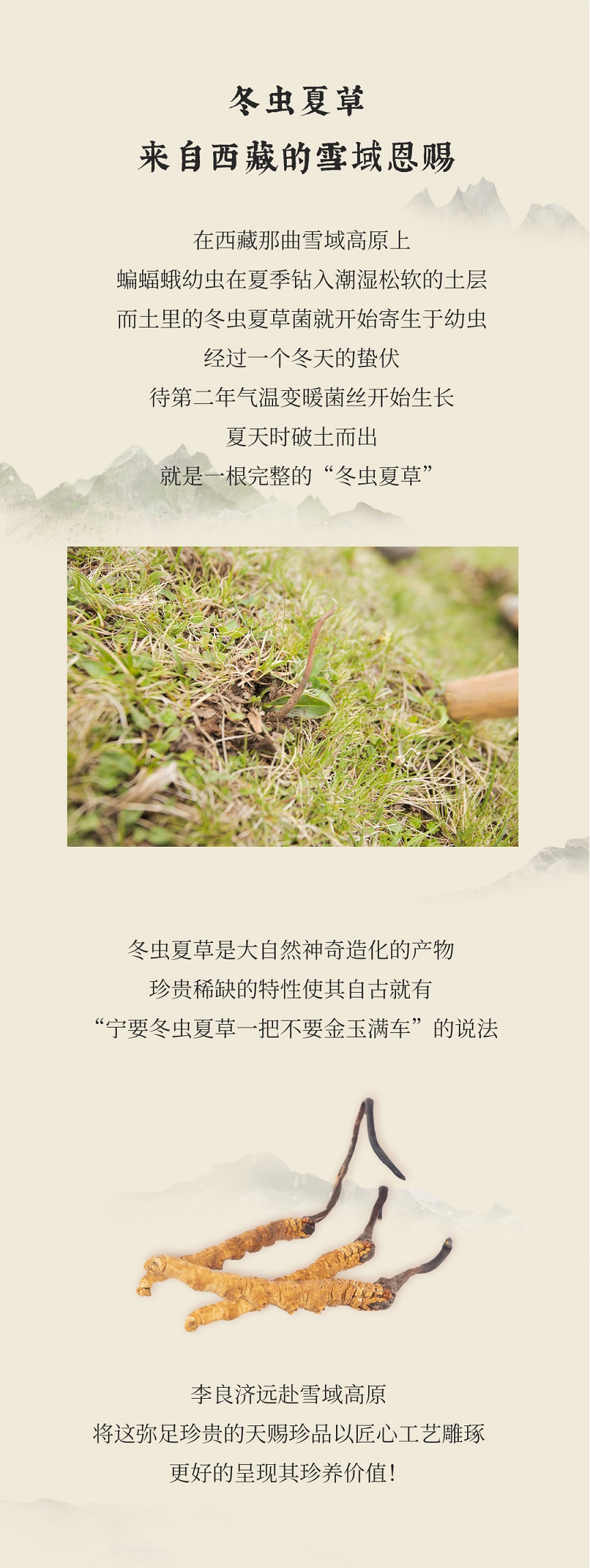 冬蟲夏草公眾號(hào)_02.jpg