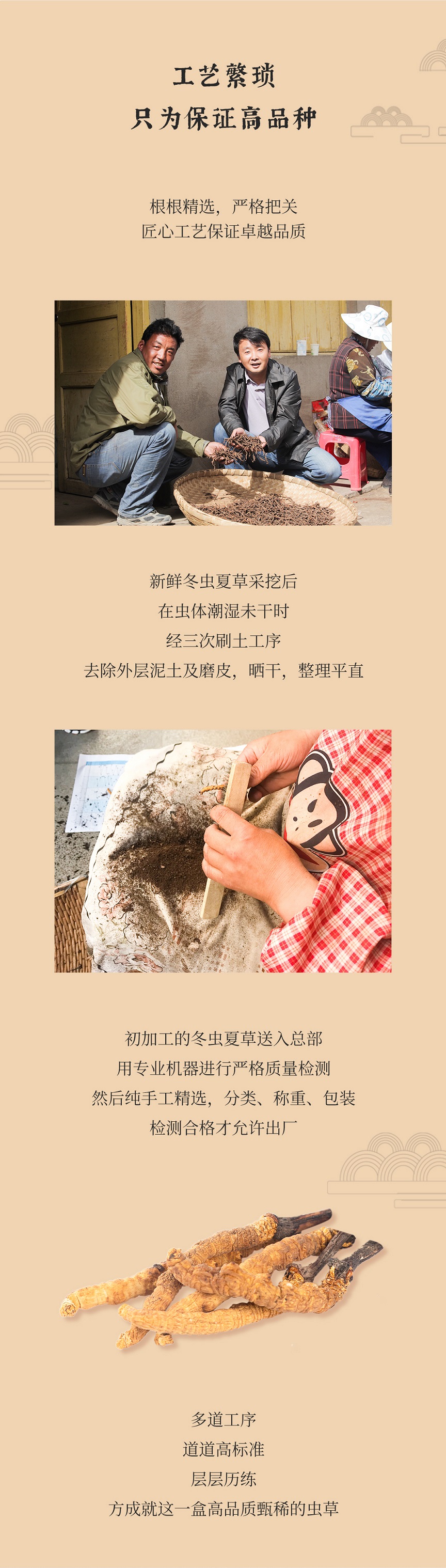 冬蟲夏草公眾號(hào)_05.jpg